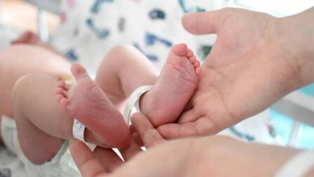 Nace el primer bebé gestado por dos mujeres en europa gracias a técnica innovadora