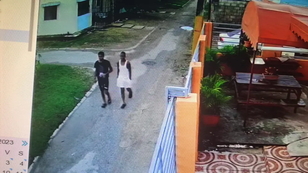 Capturan en video a ladrón merodeando en los Prados de la Caña en Santo Domingo Este