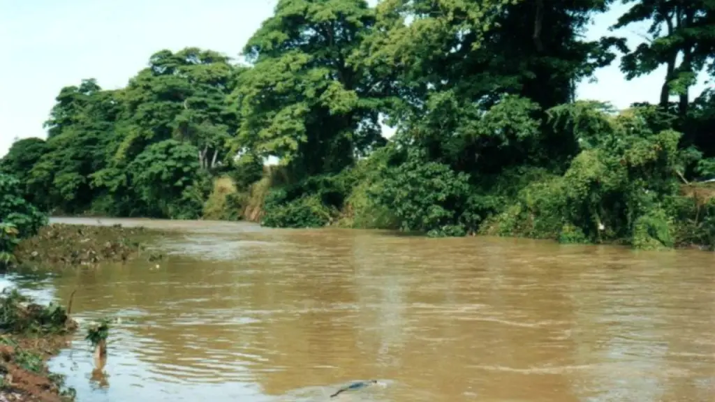 Haitiana se arroja a río al escapar de agentes de Migración